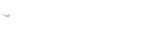 Logo header